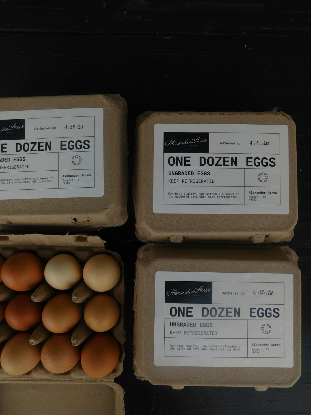 EGGS