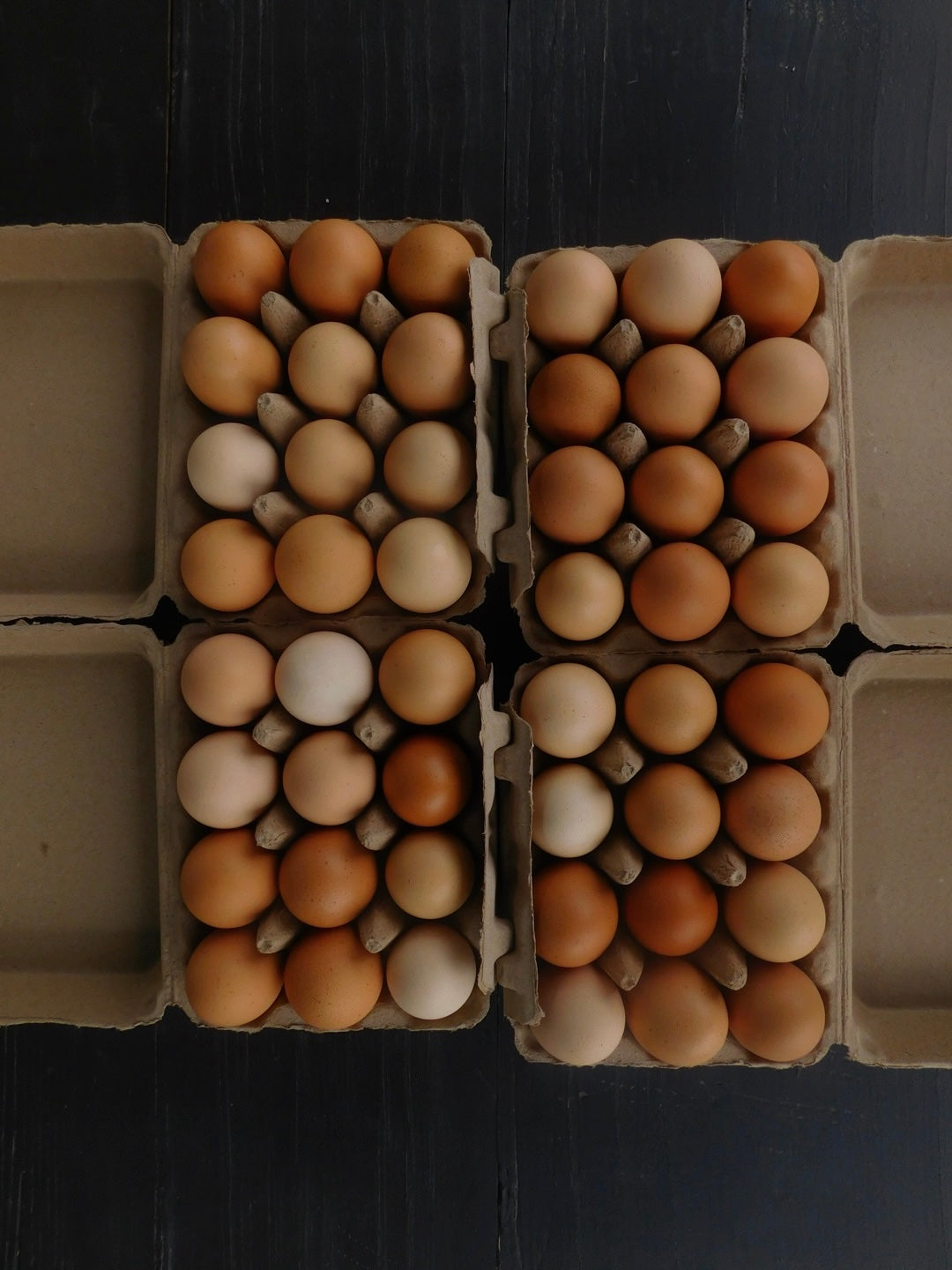 EGG CLUB