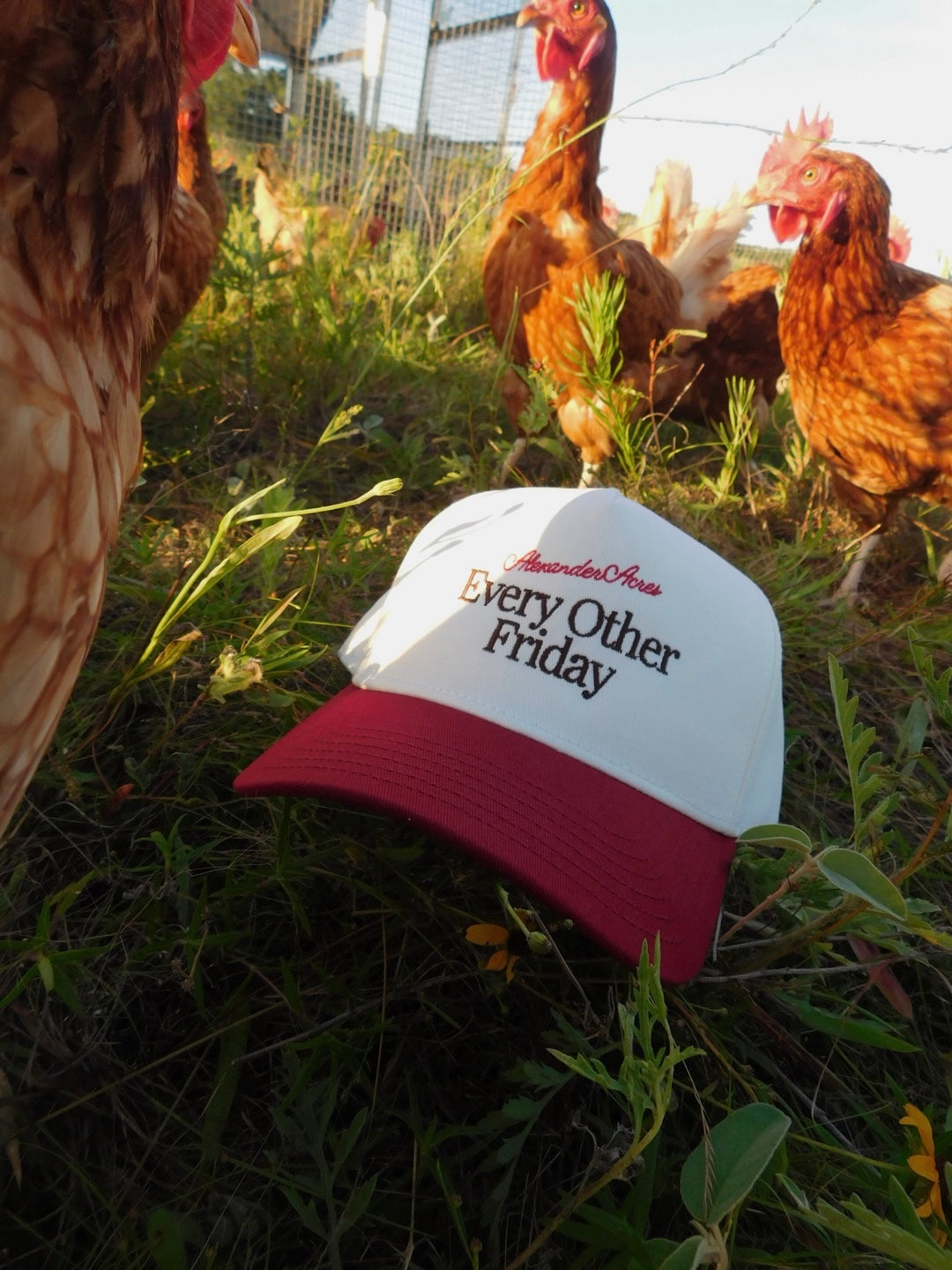 EVERY OTHER FRIDAY STRUCTURED HAT